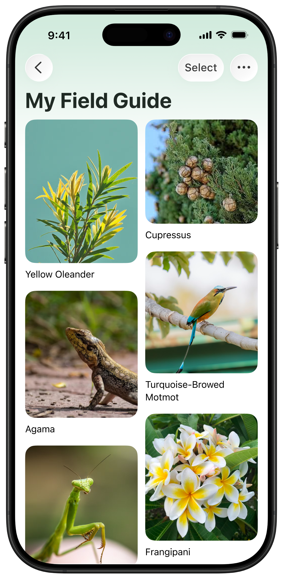 Scout App Screenshot 3